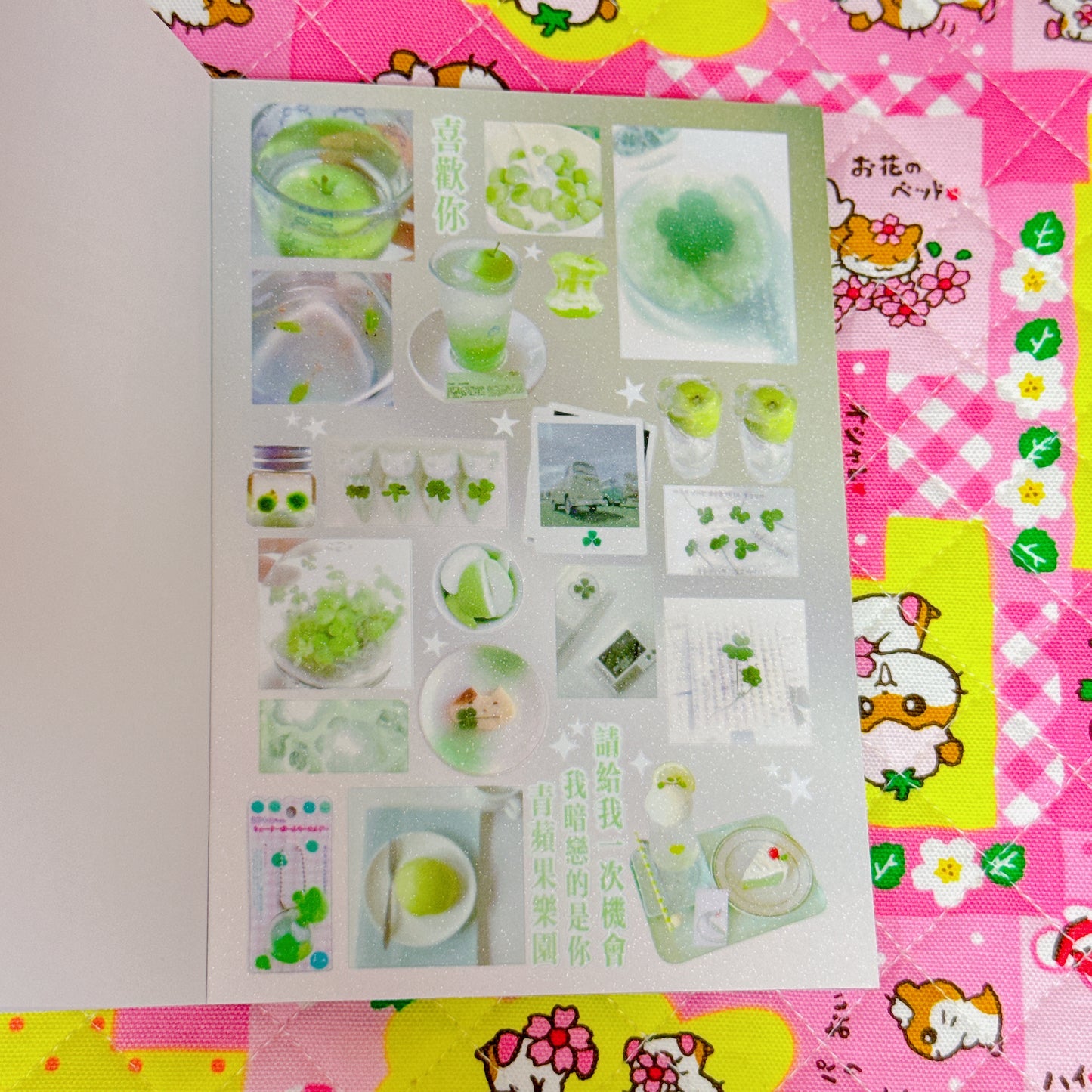 Sticker Book ♡ 38 pages