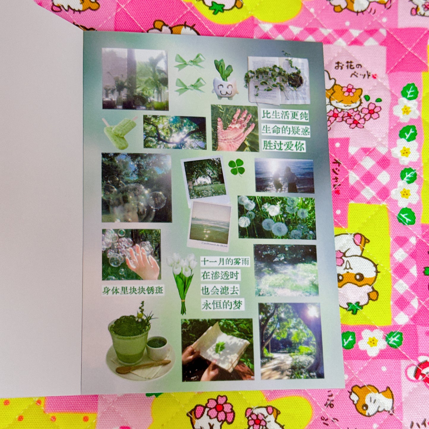 Sticker Book ♡ 38 pages