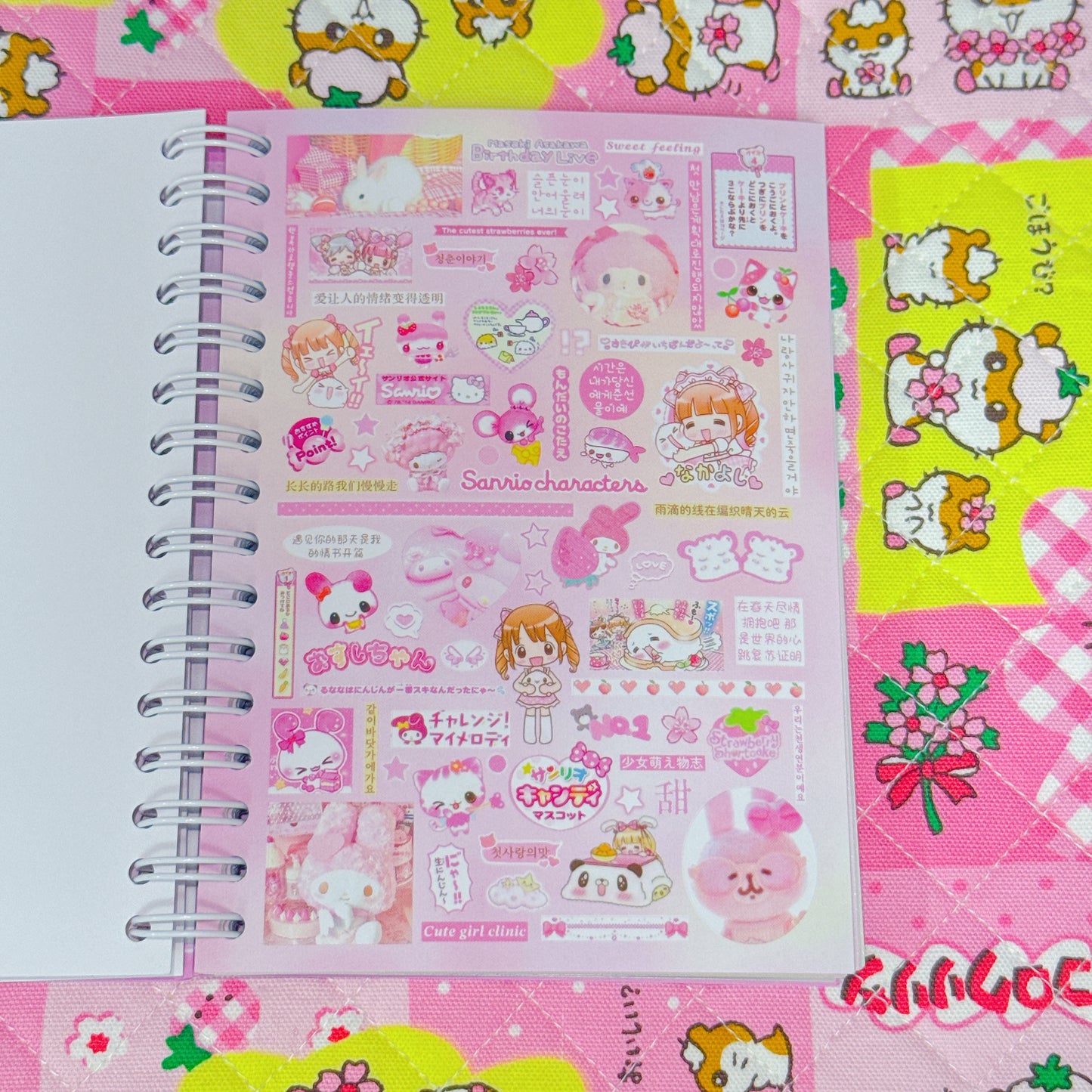 Sticker Book ♡ 40 pages