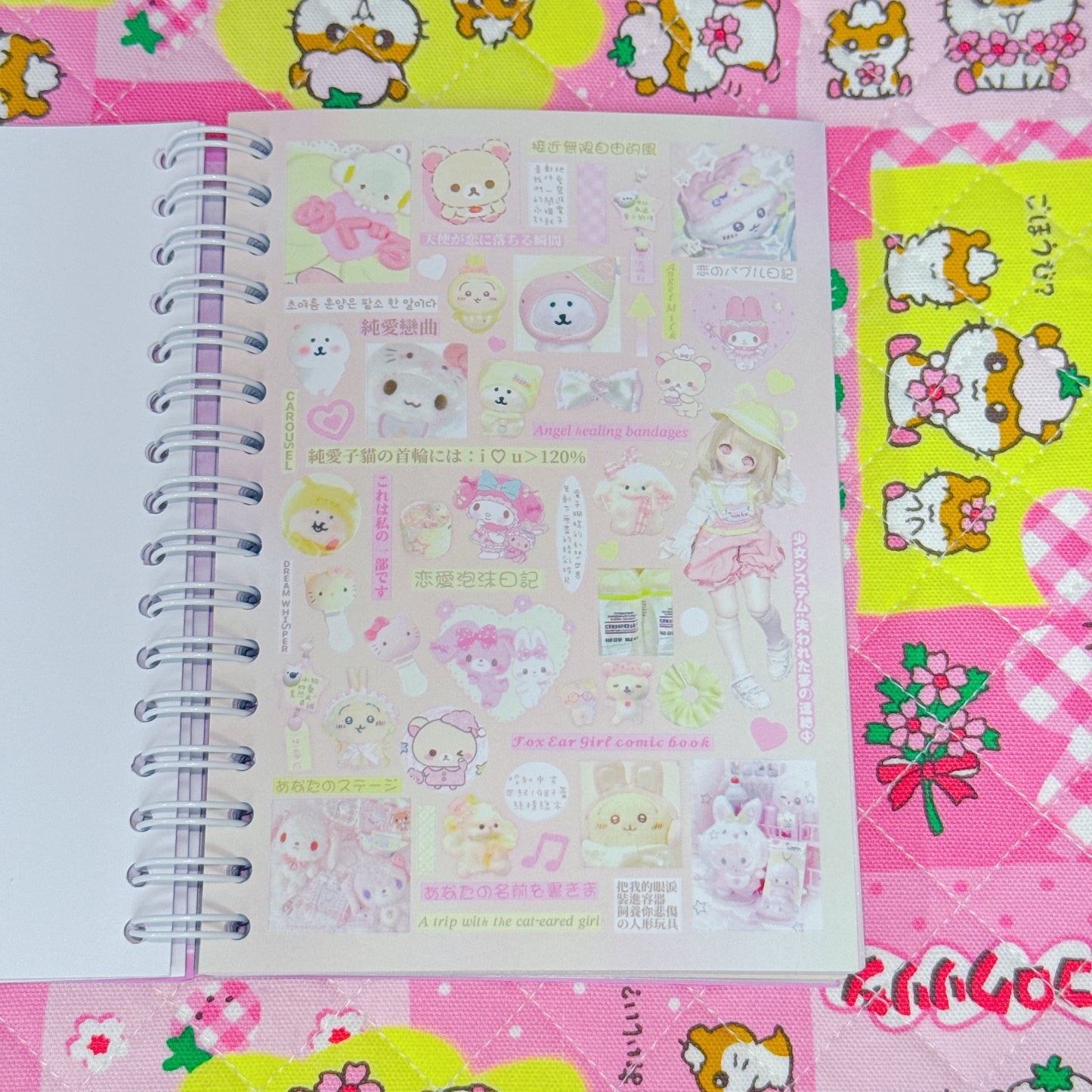 Sticker Book ♡ 40 pages