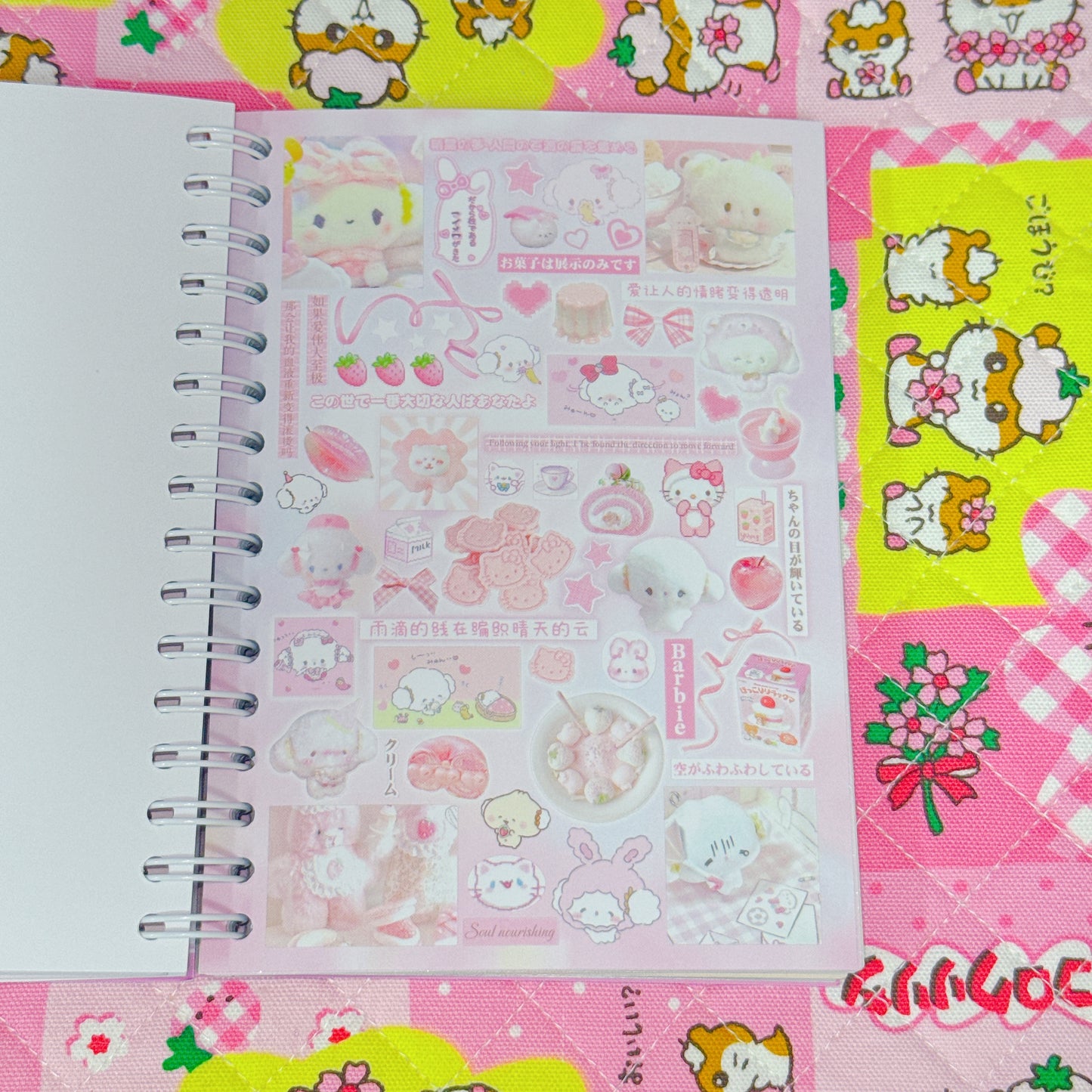 Sticker Book ♡ 40 pages