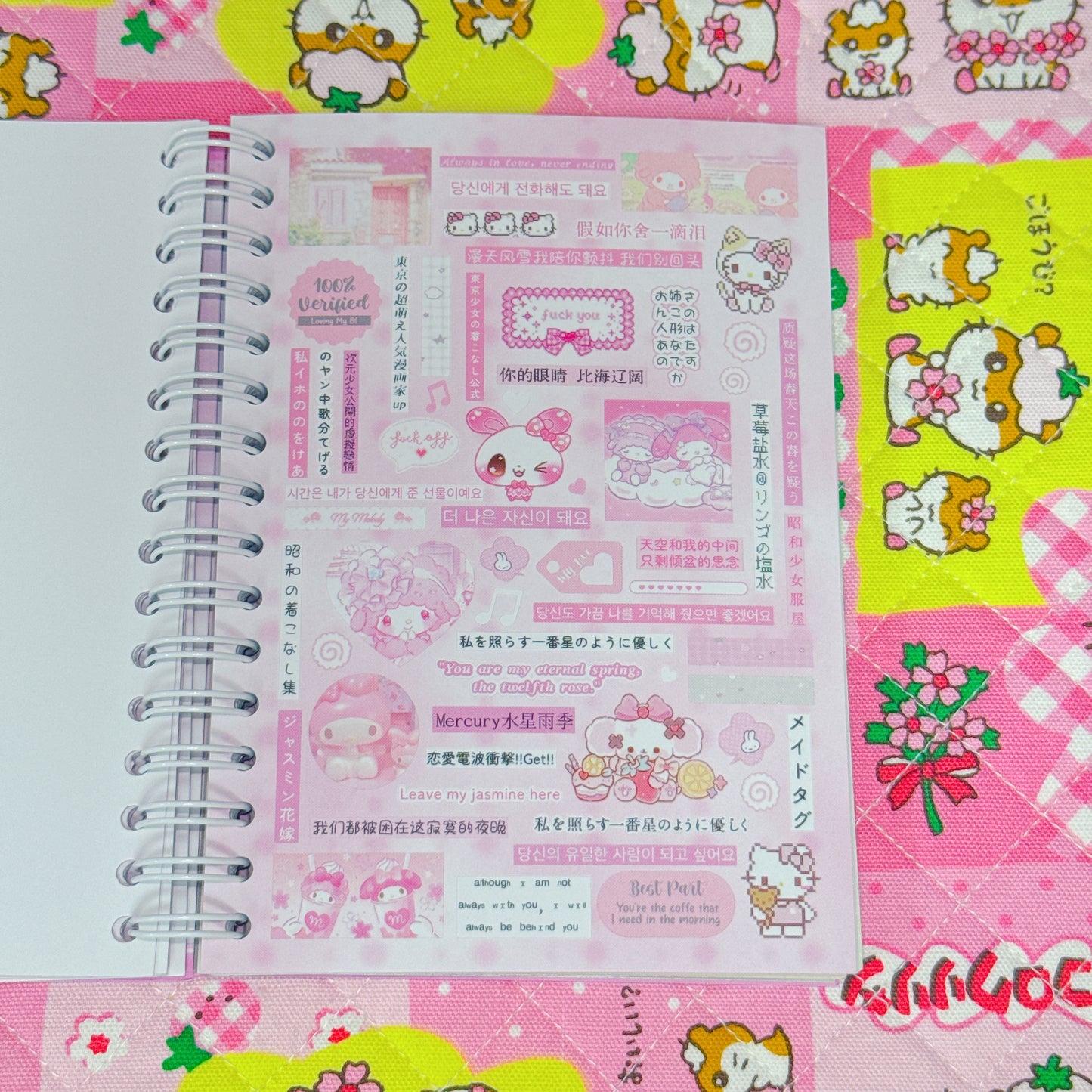Sticker Book ♡ 40 pages