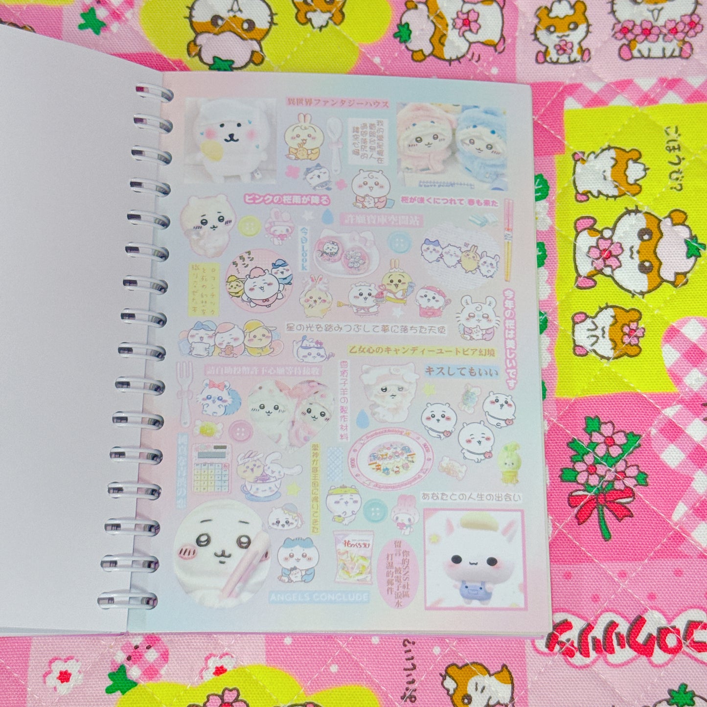 Sticker Book ♡ 40 pages