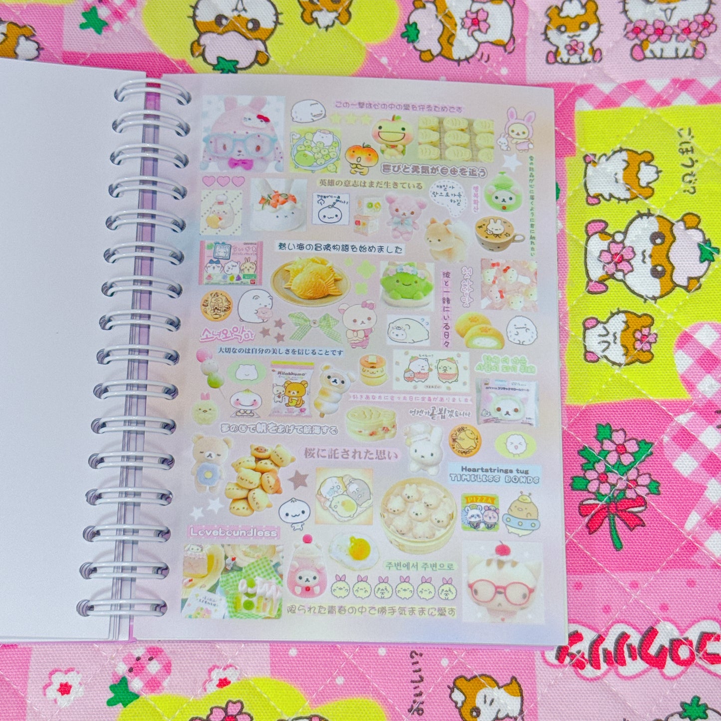 Sticker Book ♡ 40 pages
