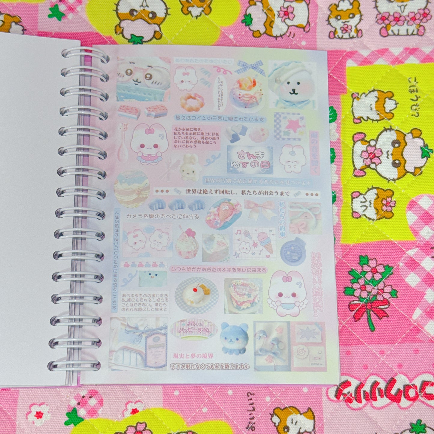 Sticker Book ♡ 40 pages