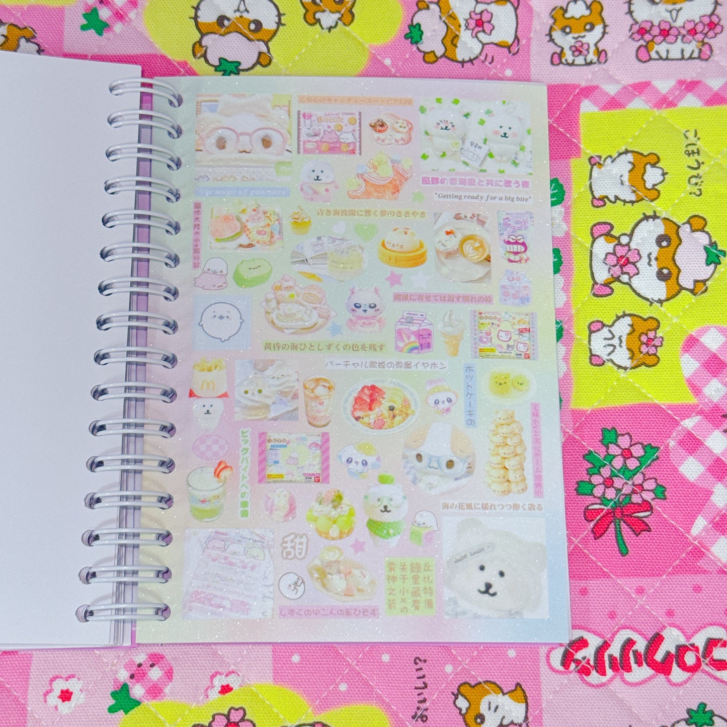 Sticker Book ♡ 40 pages