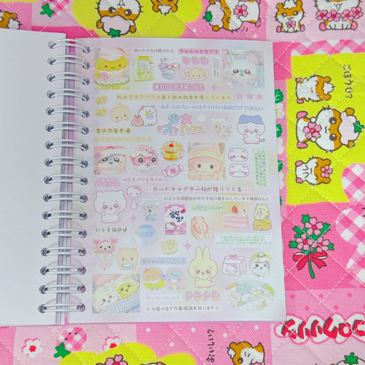Sticker Book ♡ 40 pages