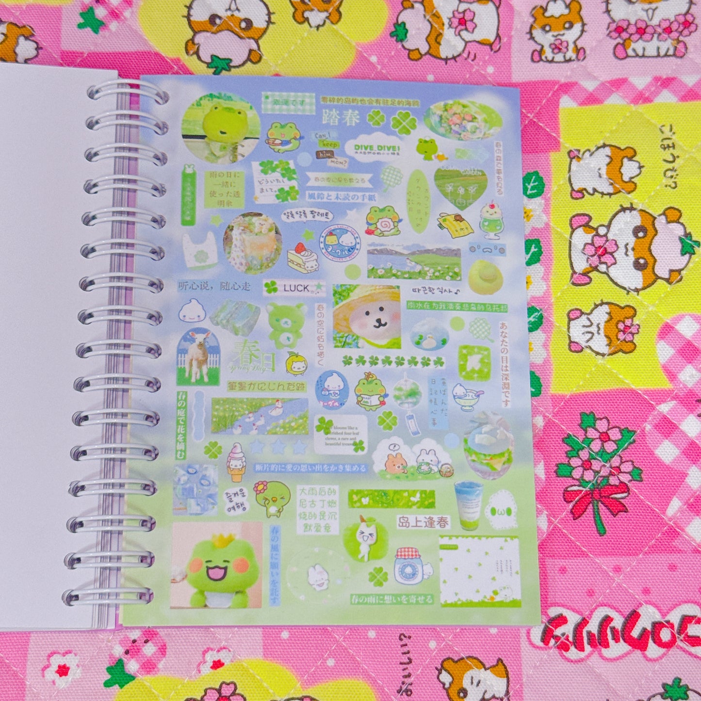 Sticker Book ♡ 40 pages