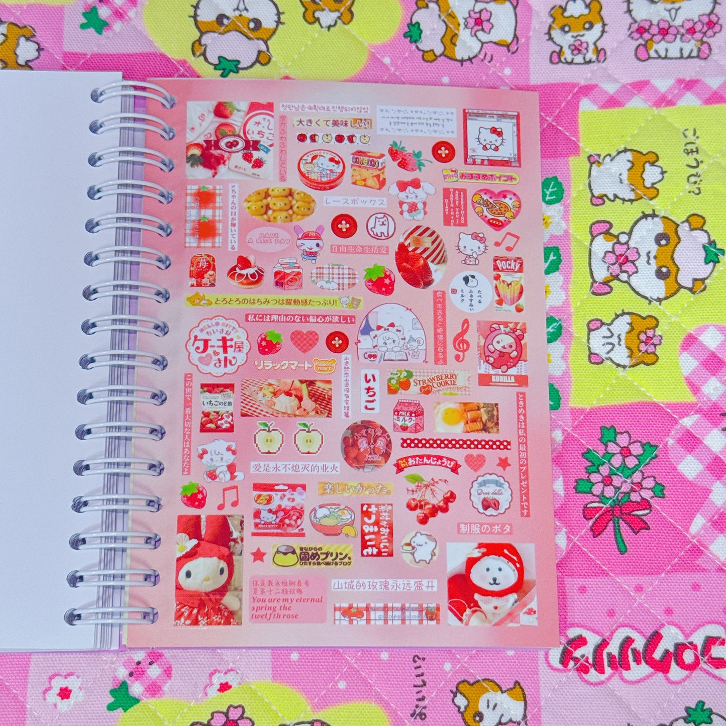 Sticker Book ♡ 40 pages