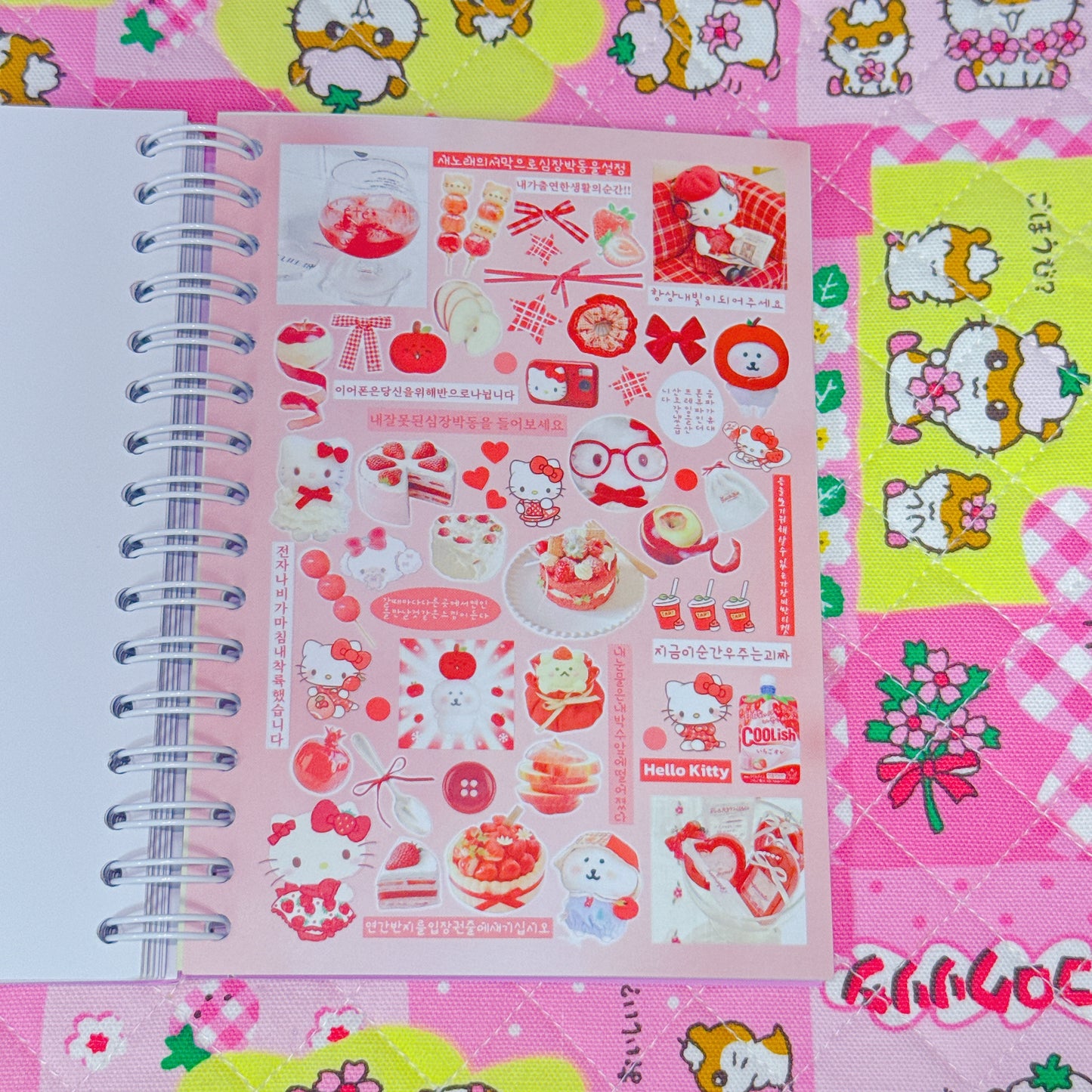 Sticker Book ♡ 40 pages
