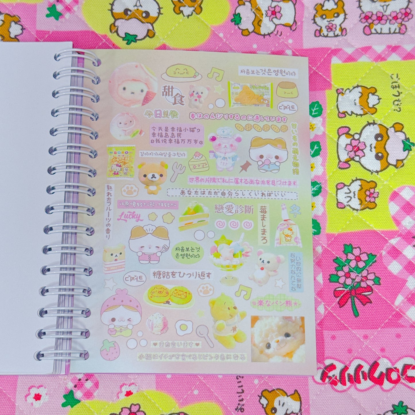 Sticker Book ♡ 40 pages