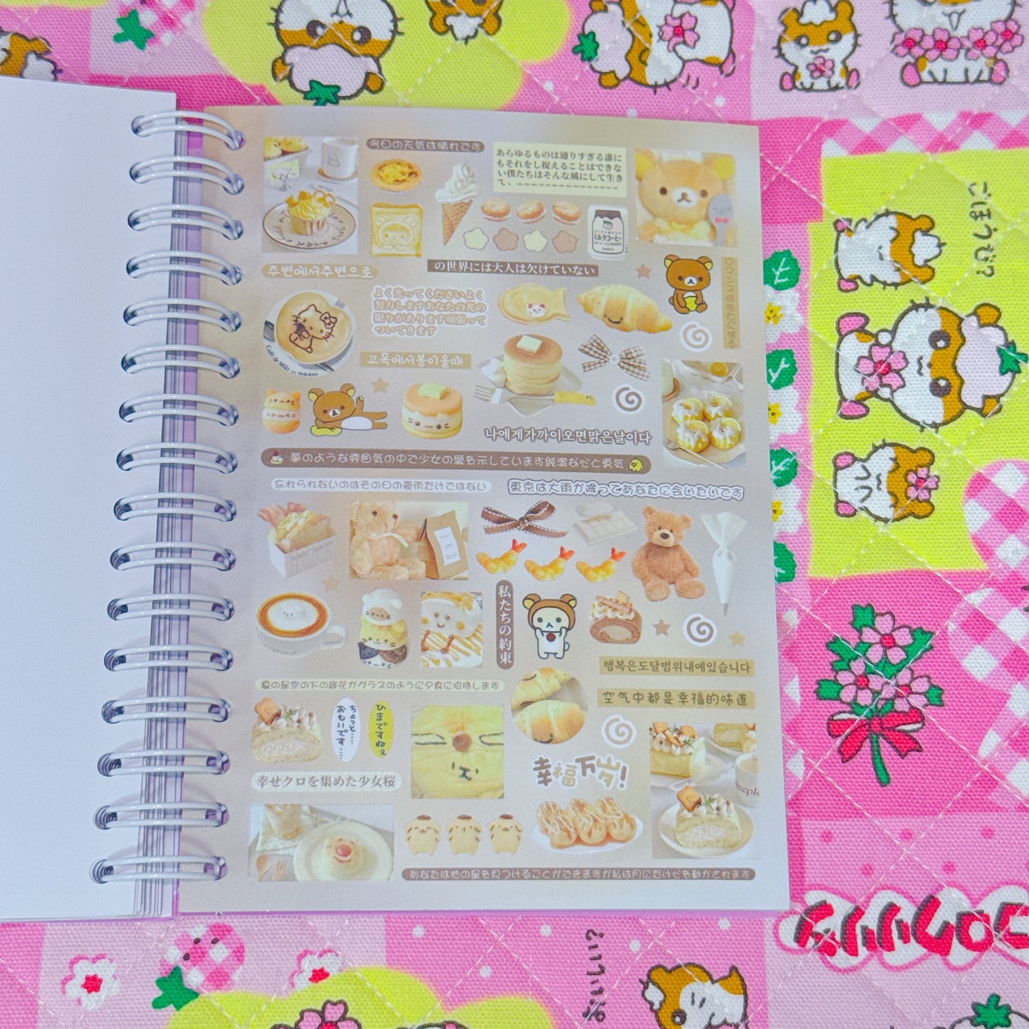 Sticker Book ♡ 40 pages