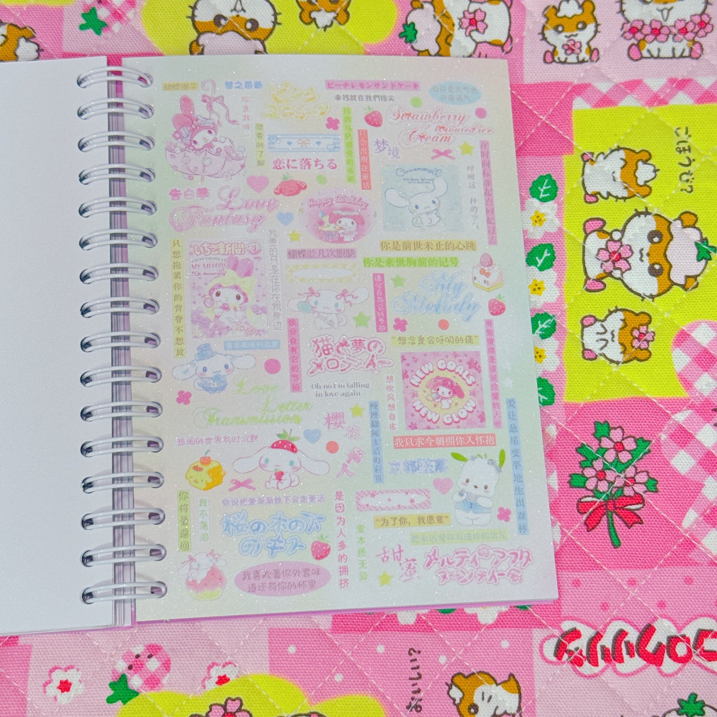 Sticker Book ♡ 40 pages