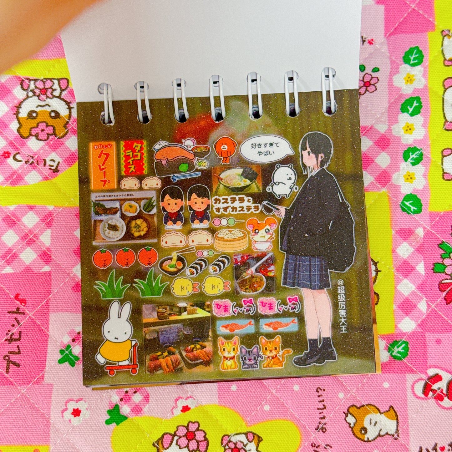 Sticker Book ♡ 38 pages