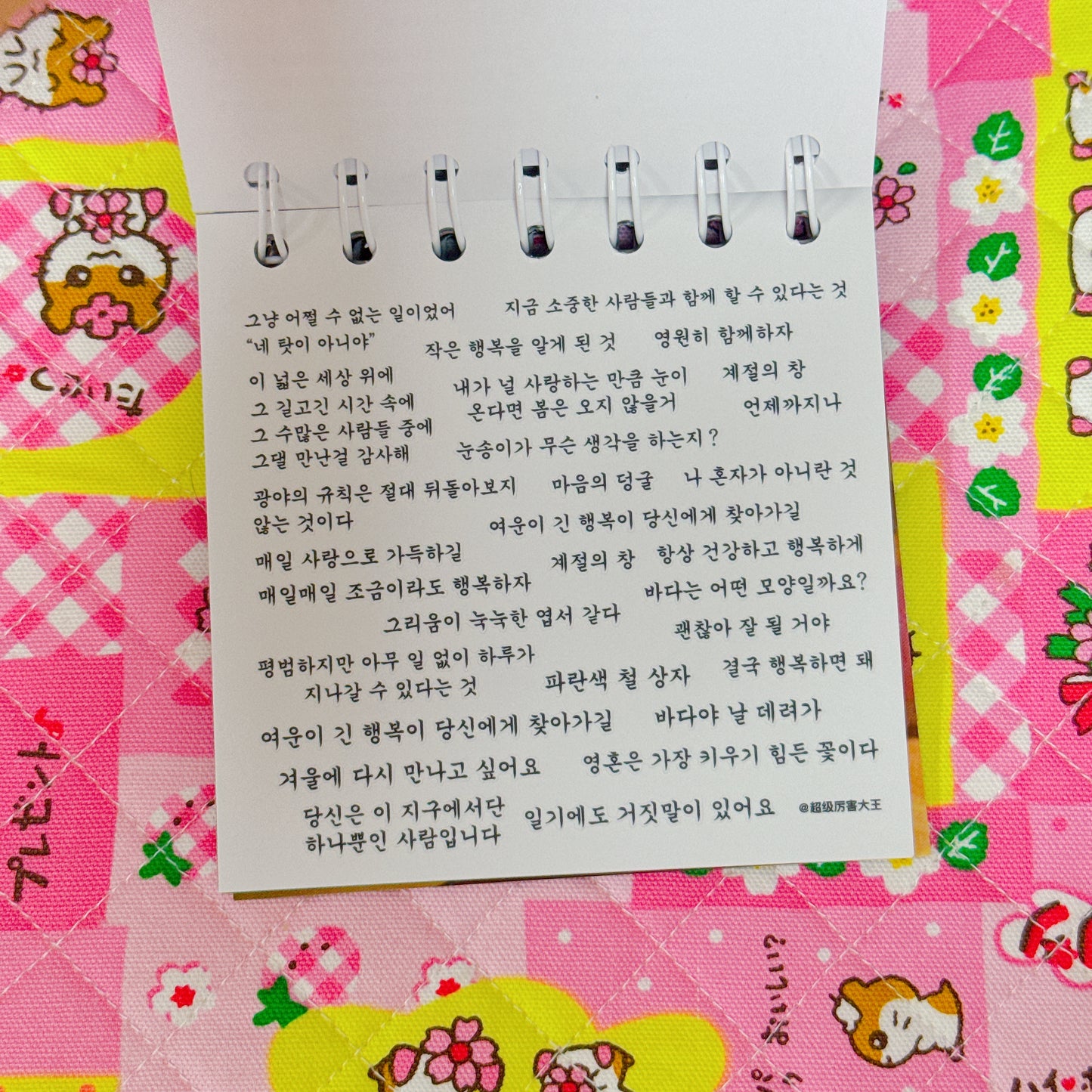 Sticker Book ♡ 38 pages
