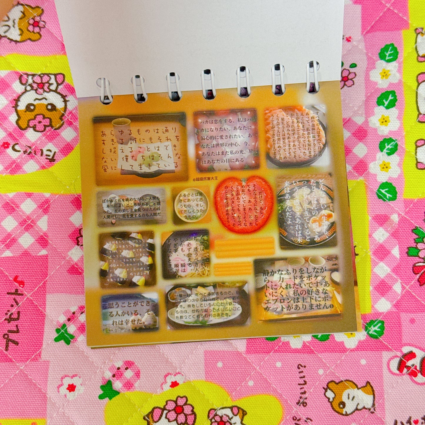 Sticker Book ♡ 38 pages