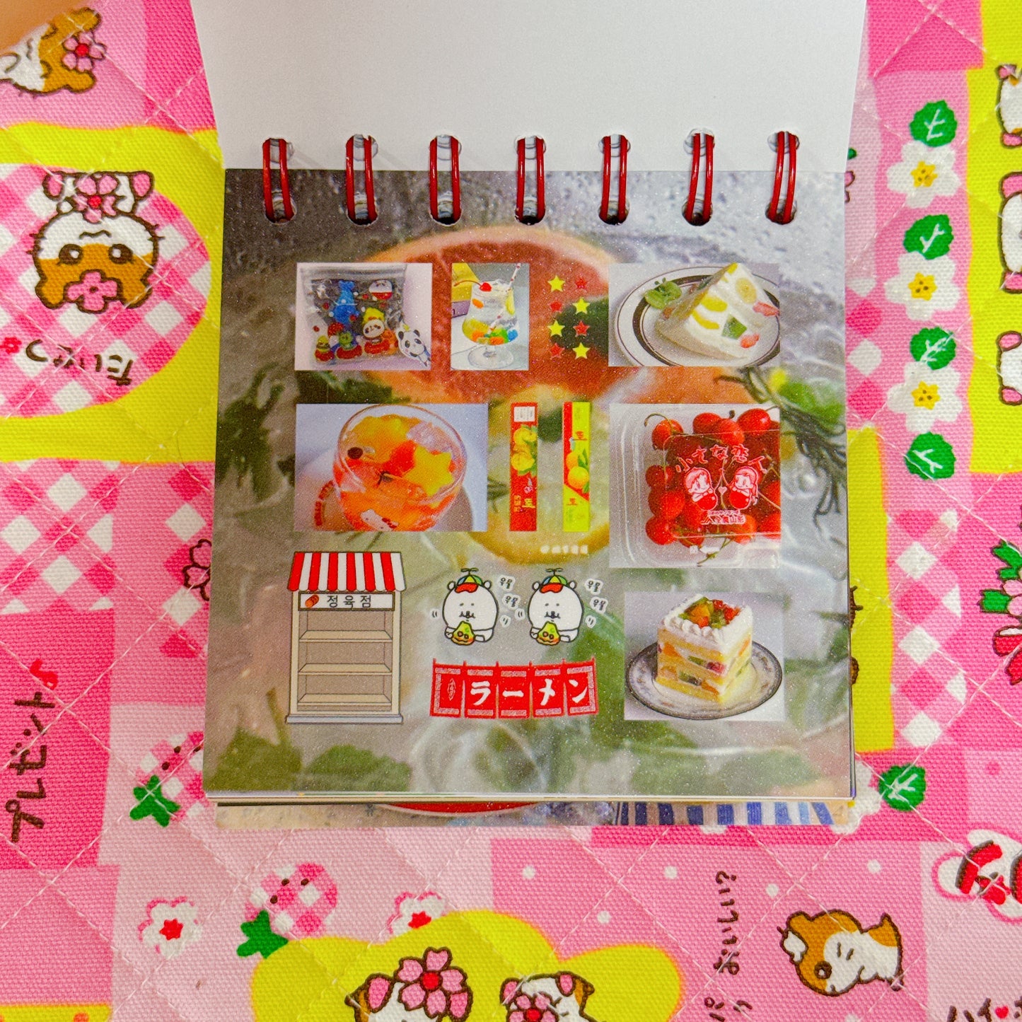 Sticker Book ♡ 50 pages