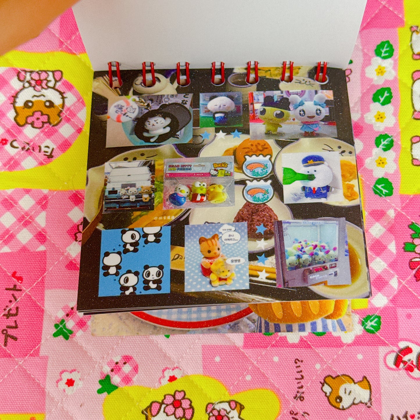 Sticker Book ♡ 50 pages