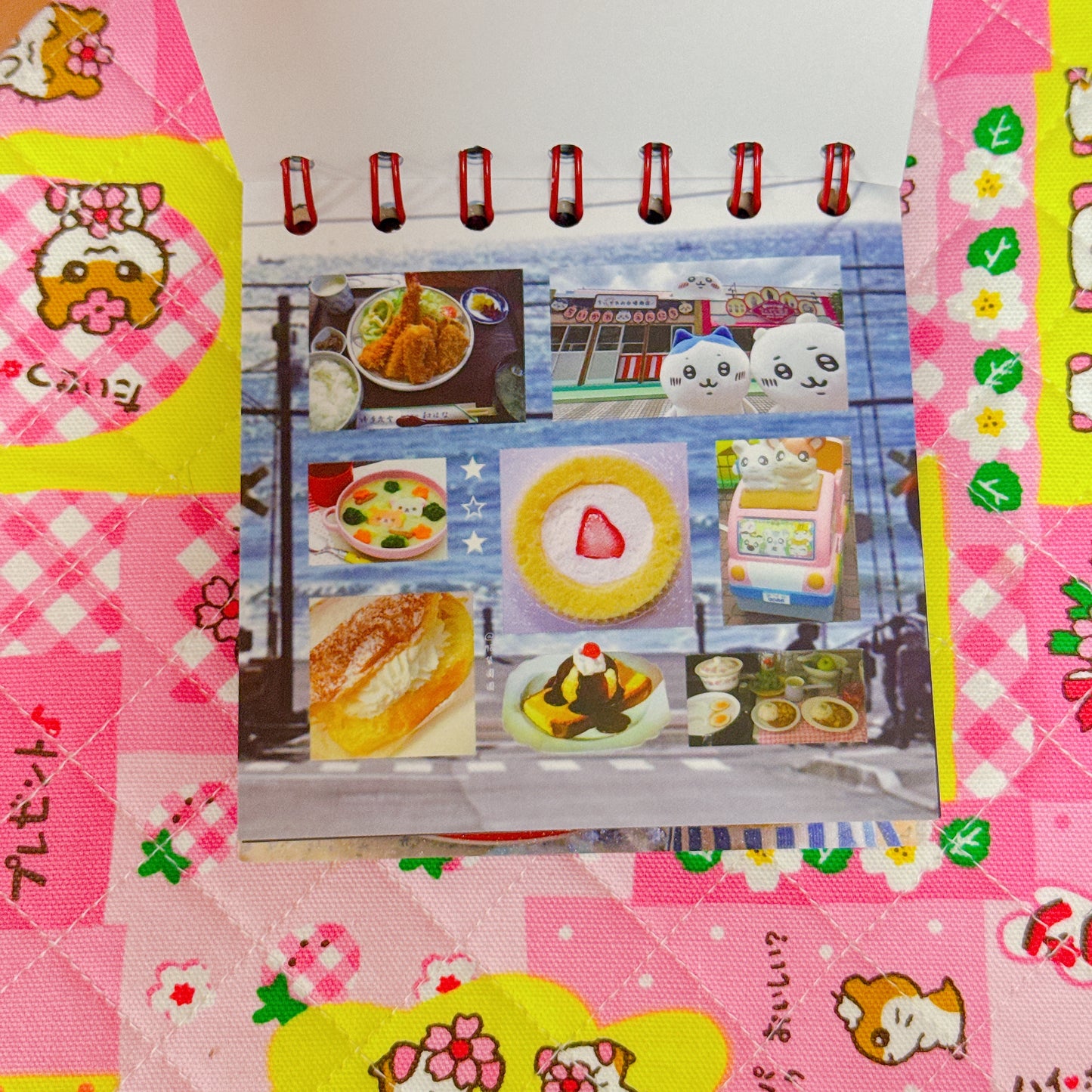Sticker Book ♡ 50 pages