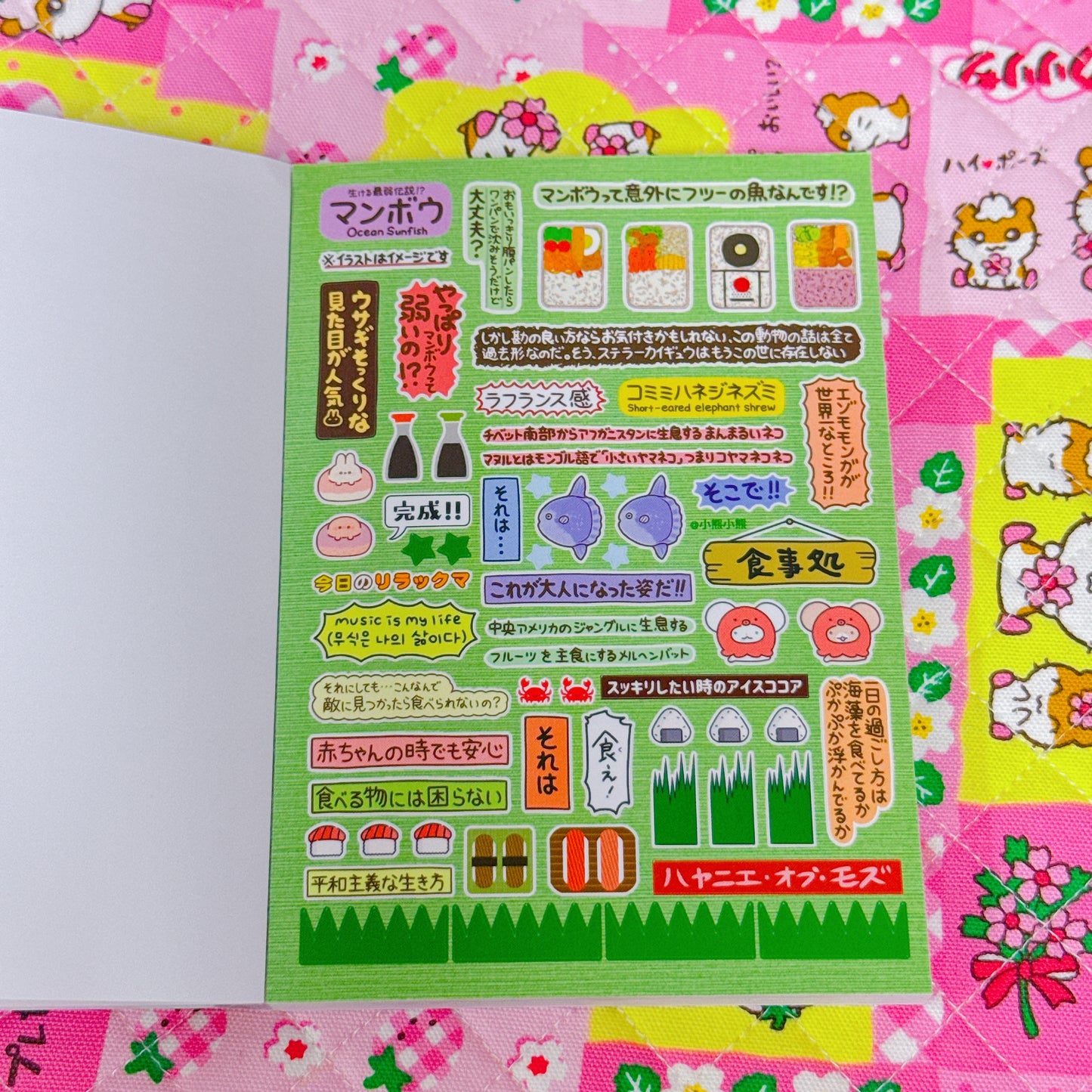 Sticker Book ♡ 35 pages