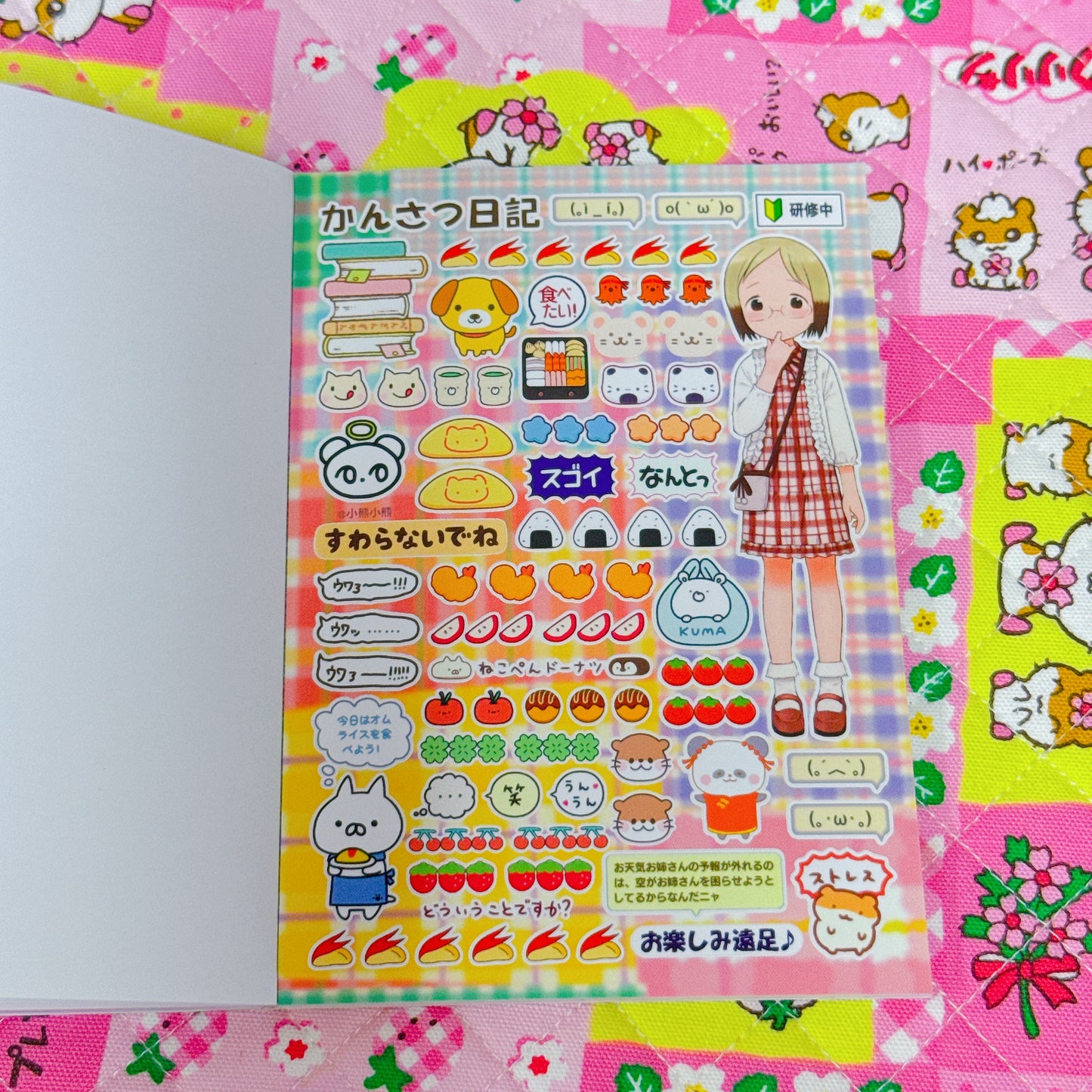 Sticker Book ♡ 35 pages