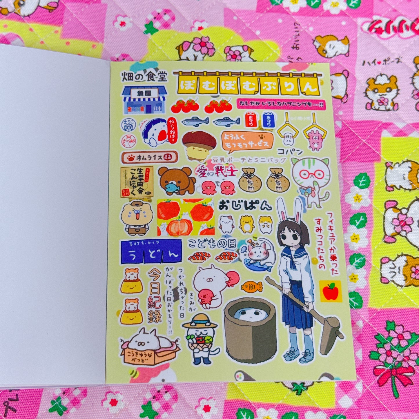 Sticker Book ♡ 35 pages