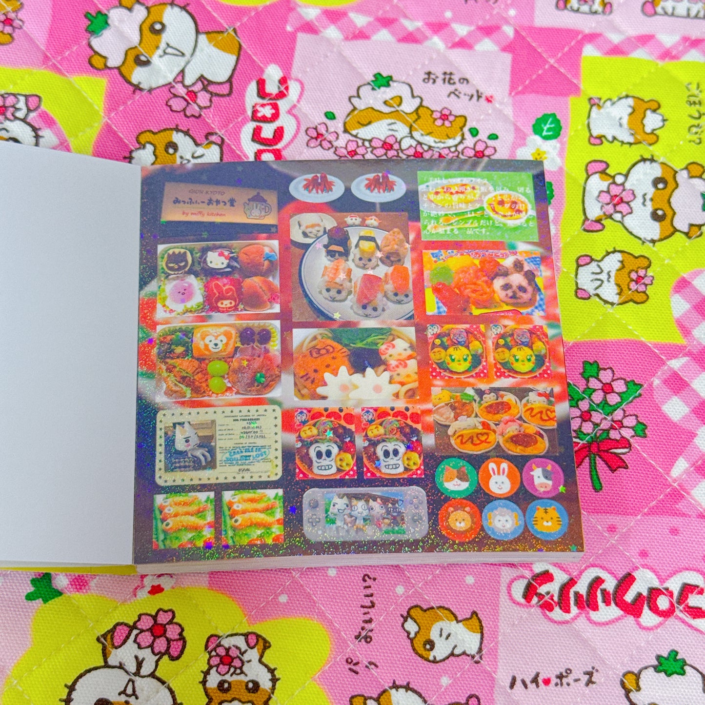 Sticker Book ♡ 30 pages