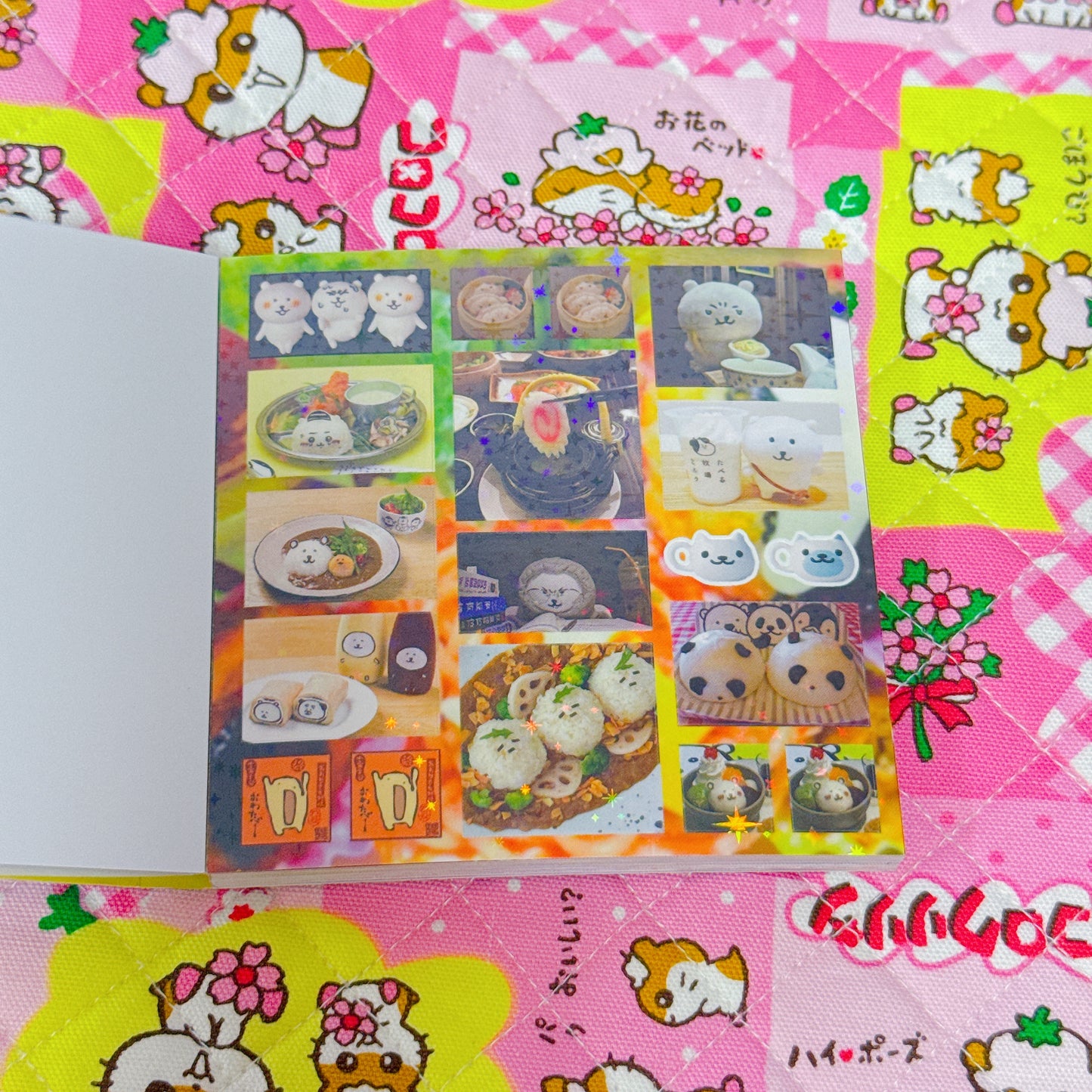 Sticker Book ♡ 30 pages