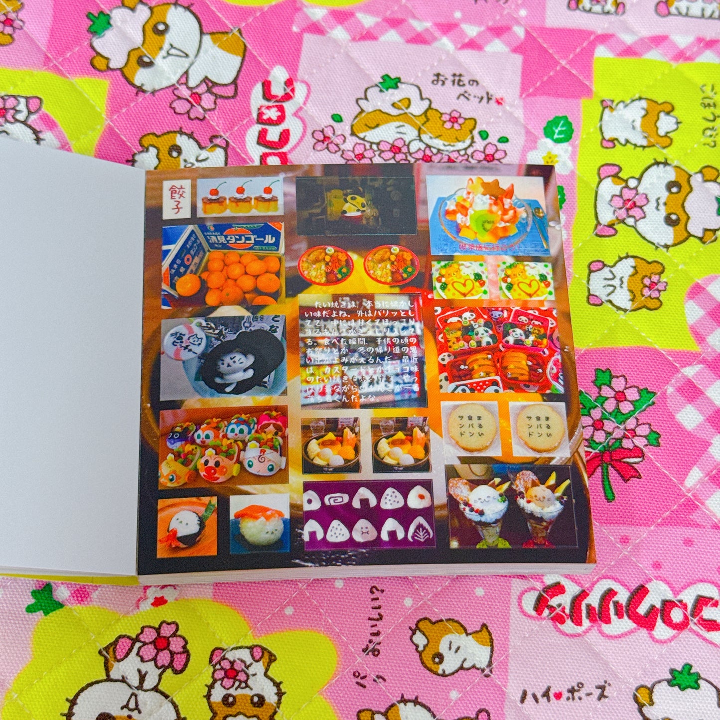 Sticker Book ♡ 30 pages