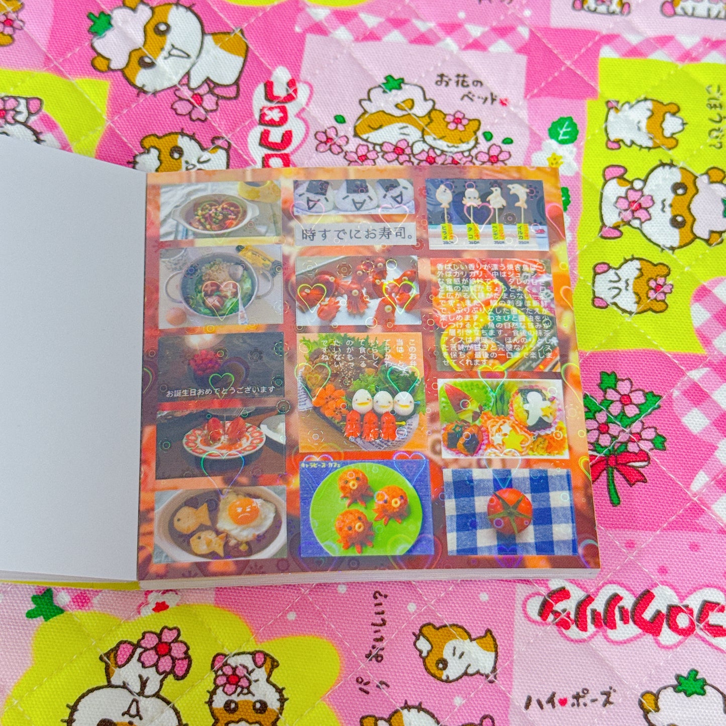 Sticker Book ♡ 30 pages