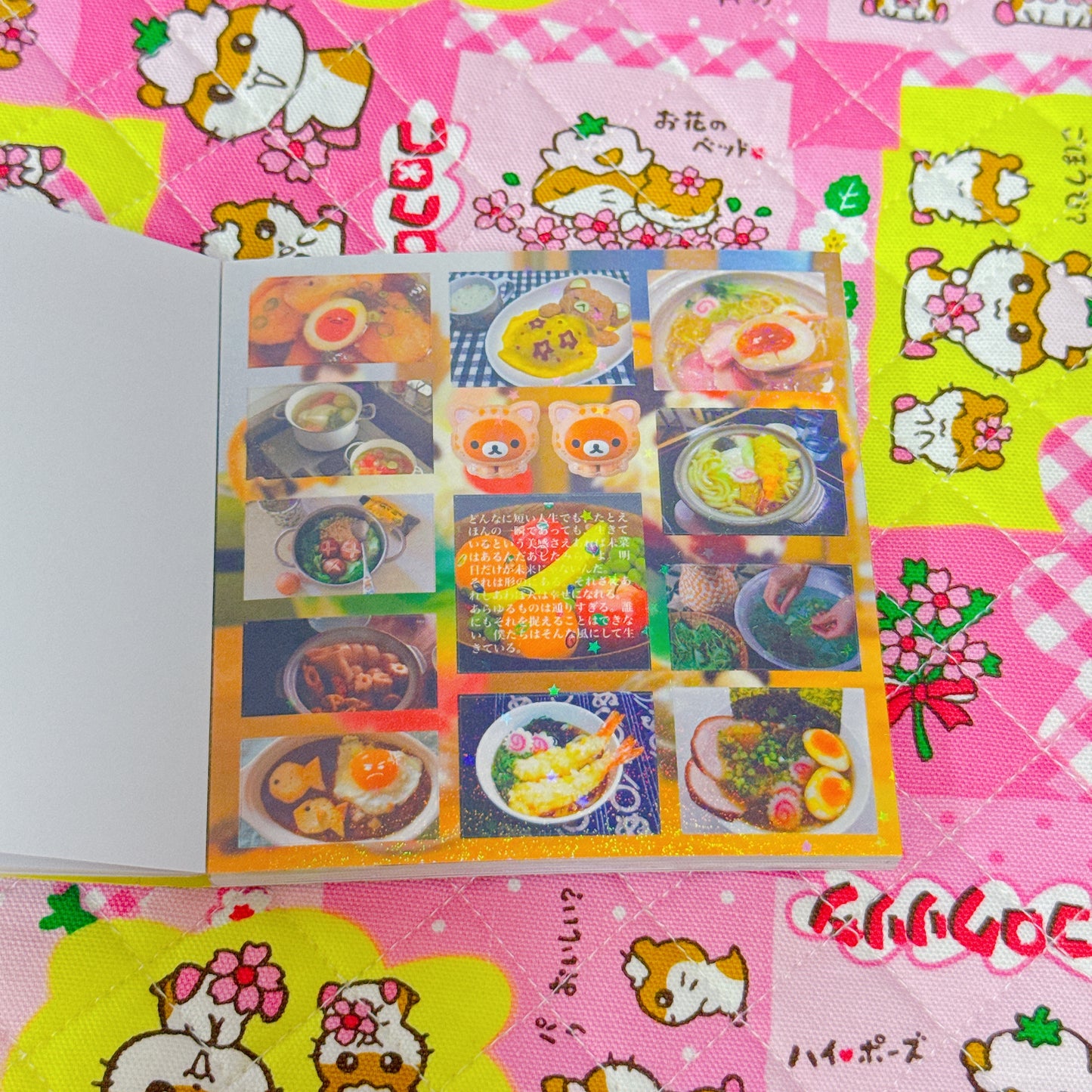 Sticker Book ♡ 30 pages