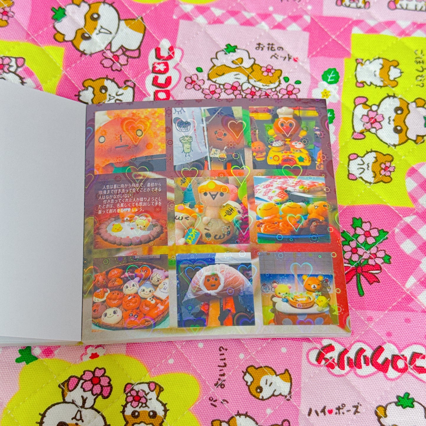 Sticker Book ♡ 30 pages