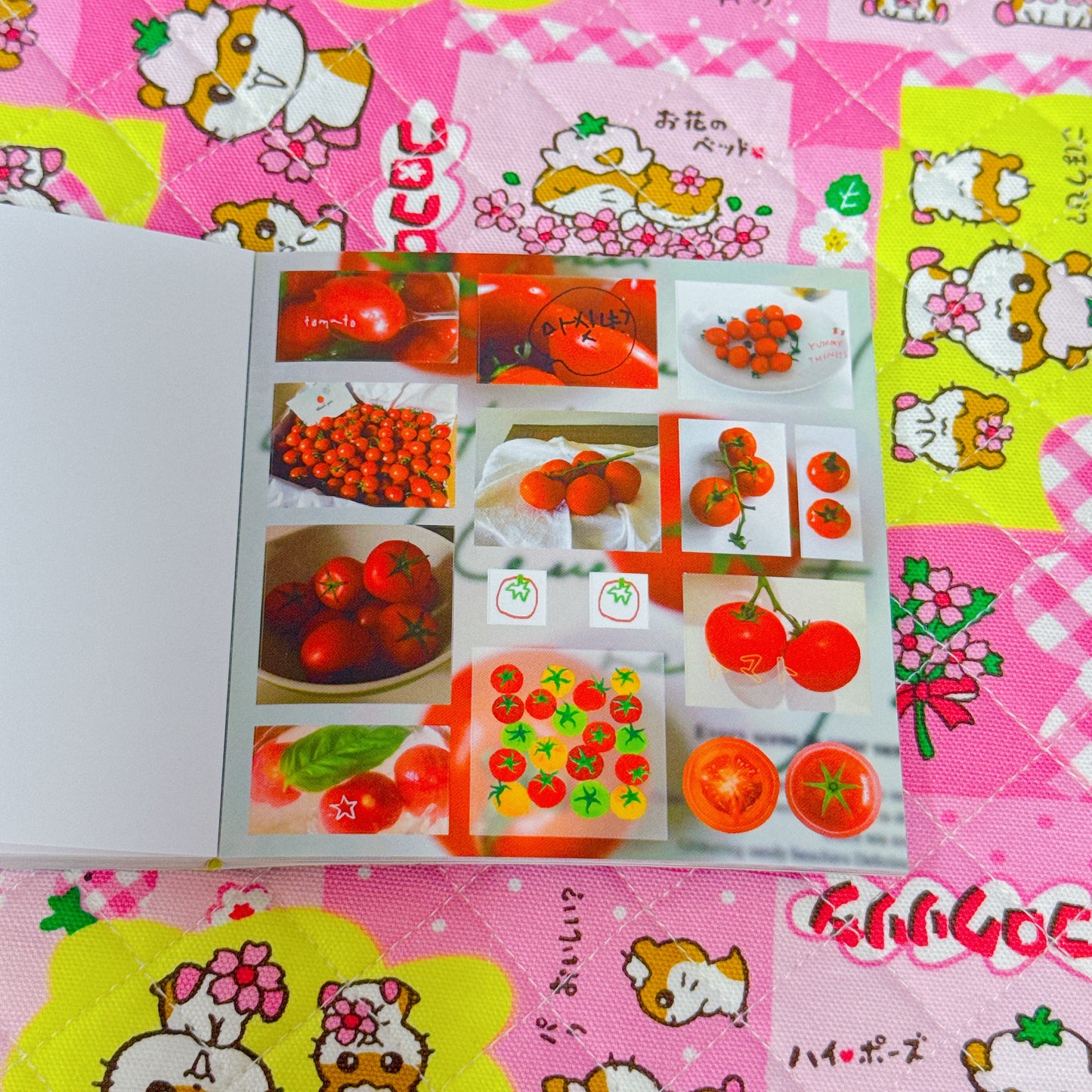 Sticker Book ♡ 30 pages