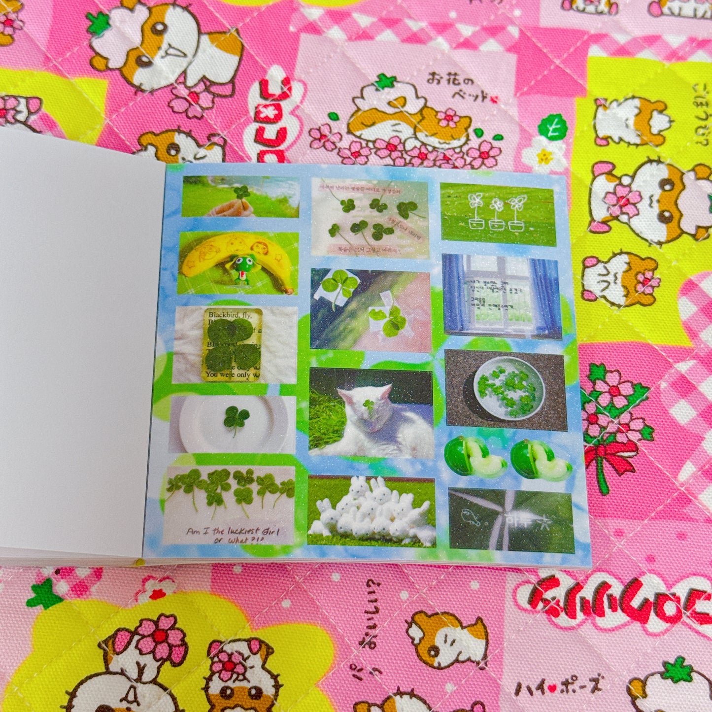 Sticker Book ♡ 30 pages