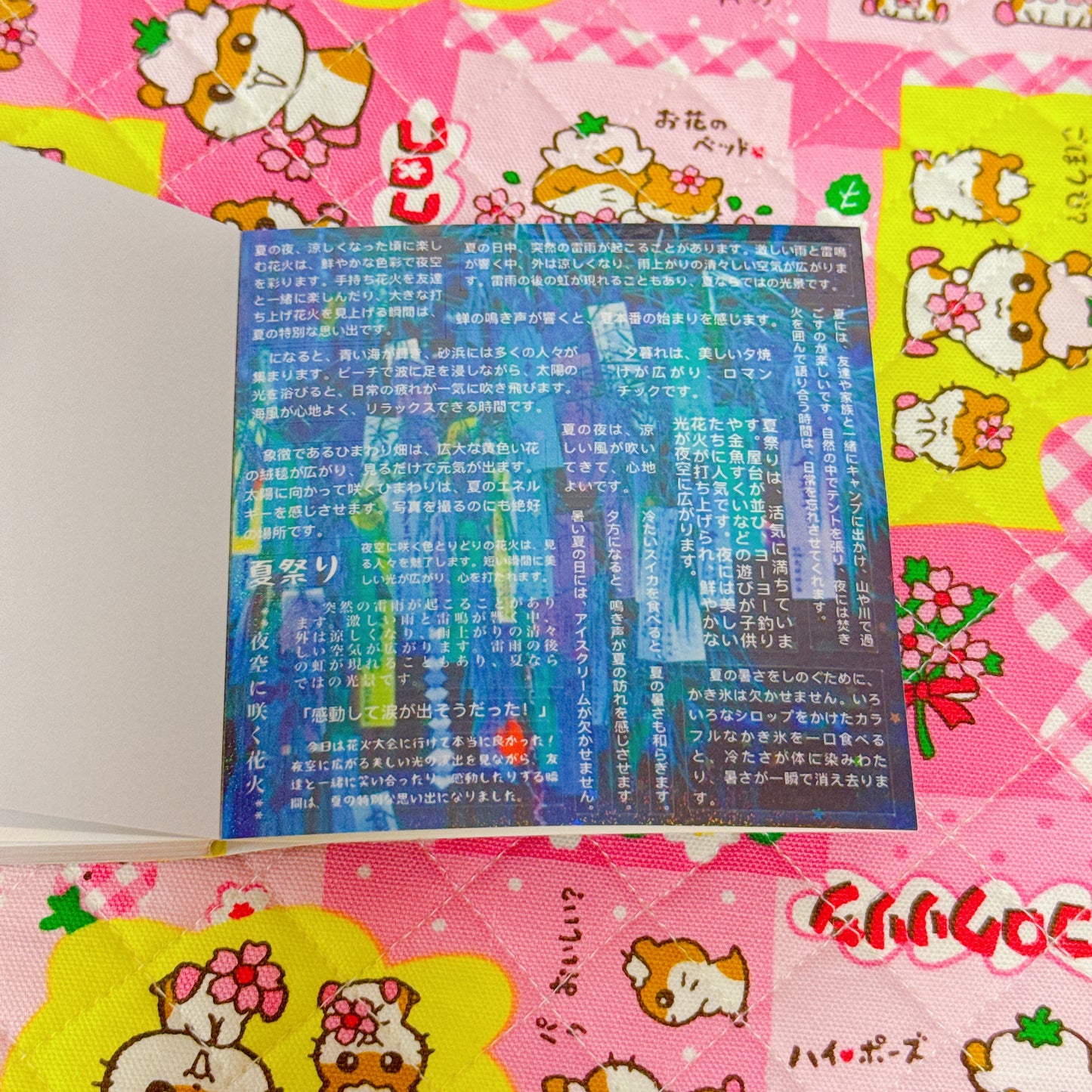 Sticker Book ♡ 30 pages