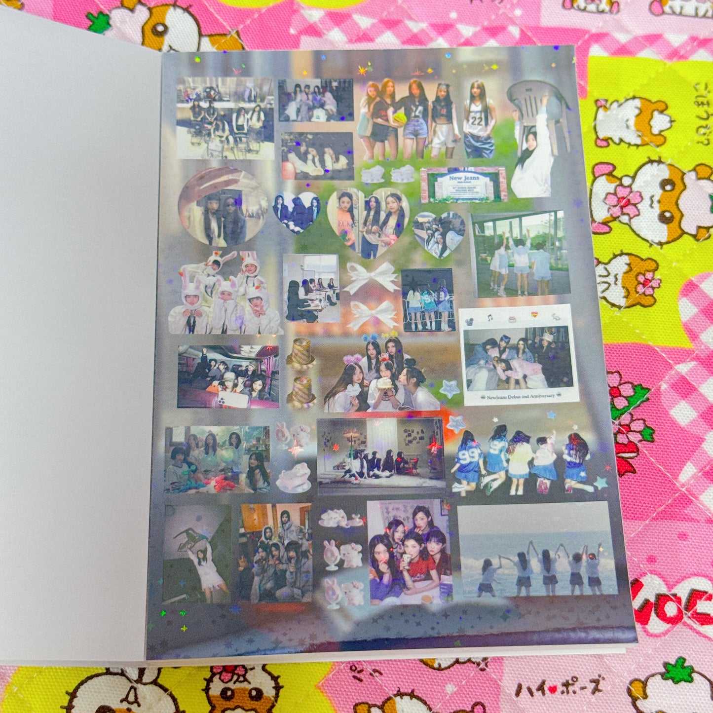 Sticker Book ♡ 25 pages