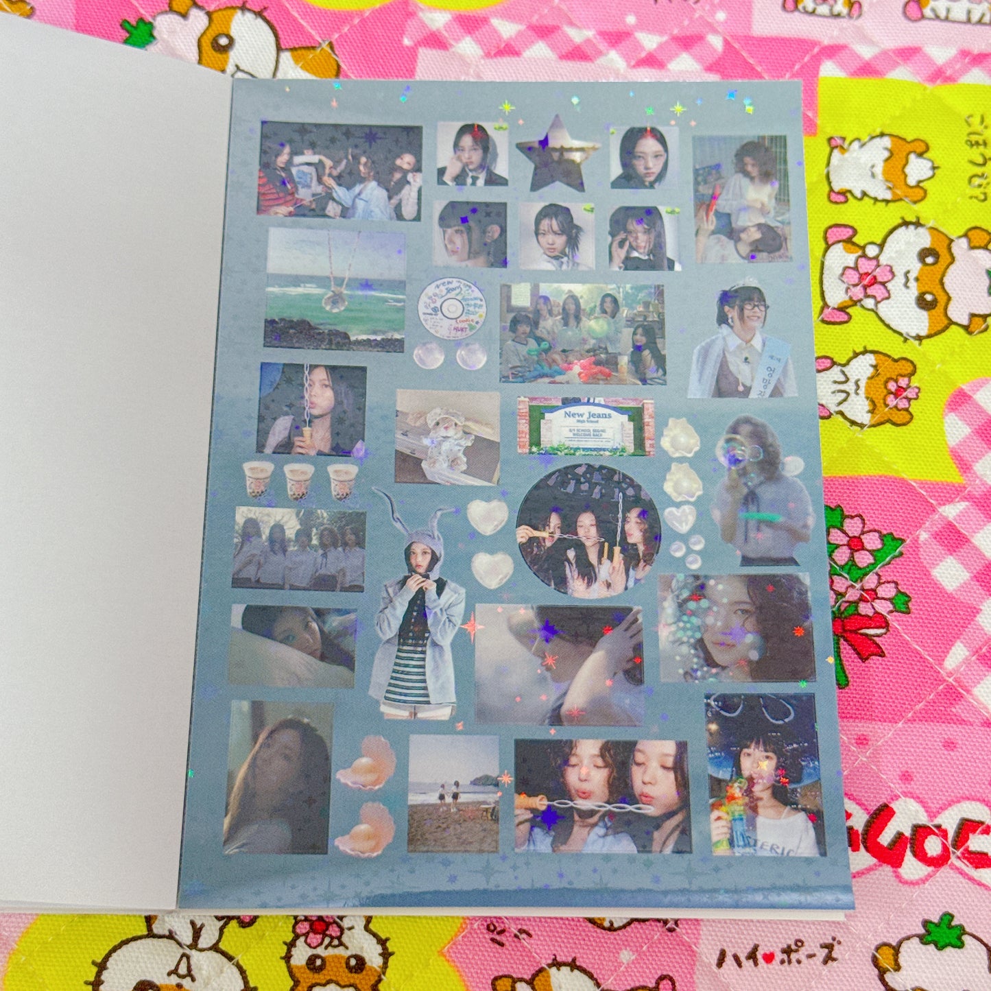 Sticker Book ♡ 25 pages