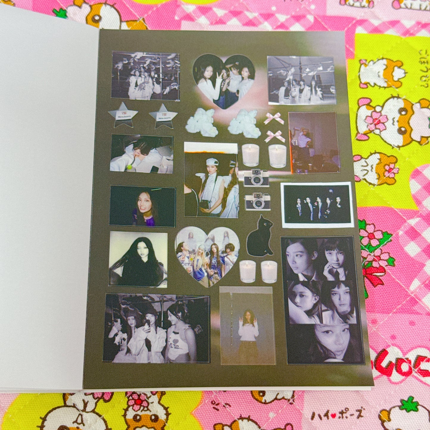 Sticker Book ♡ 25 pages