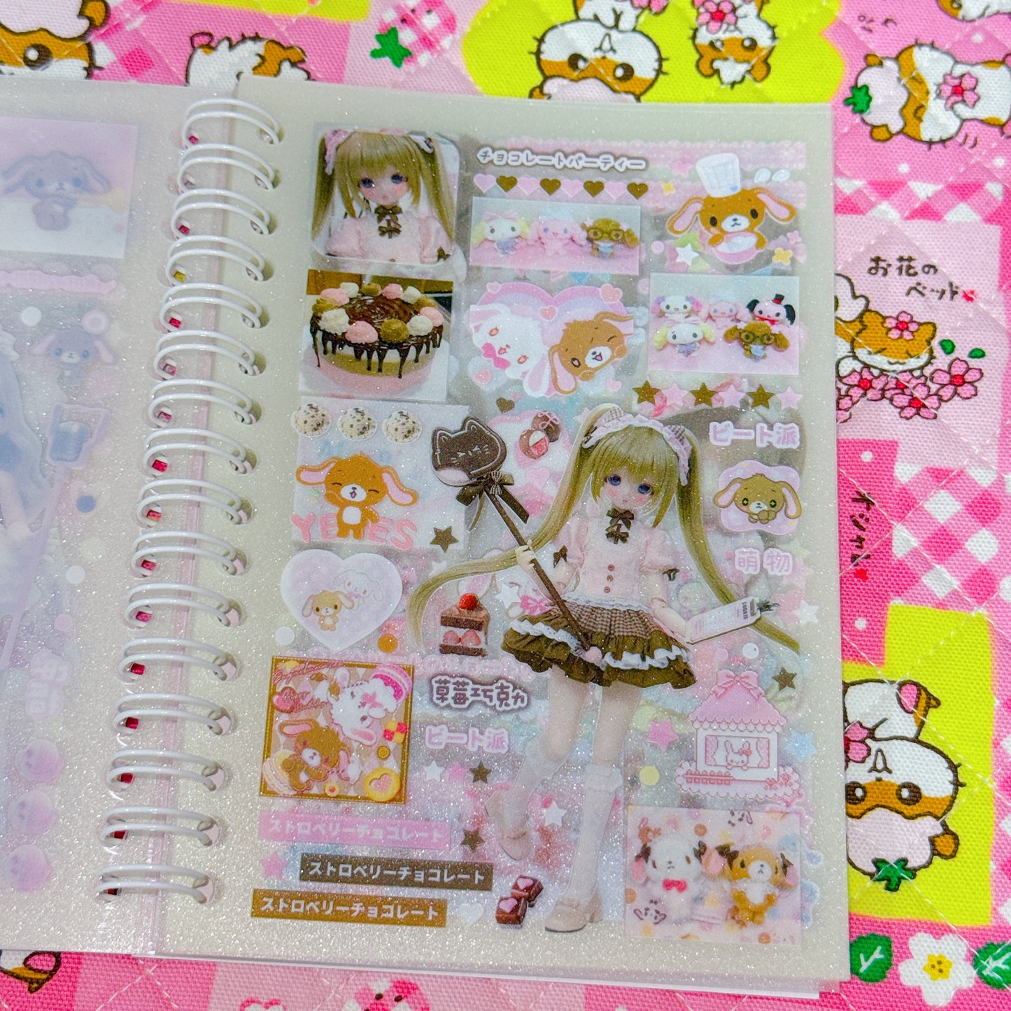 Sticker Book ♡ 30 pages (transparent sand)