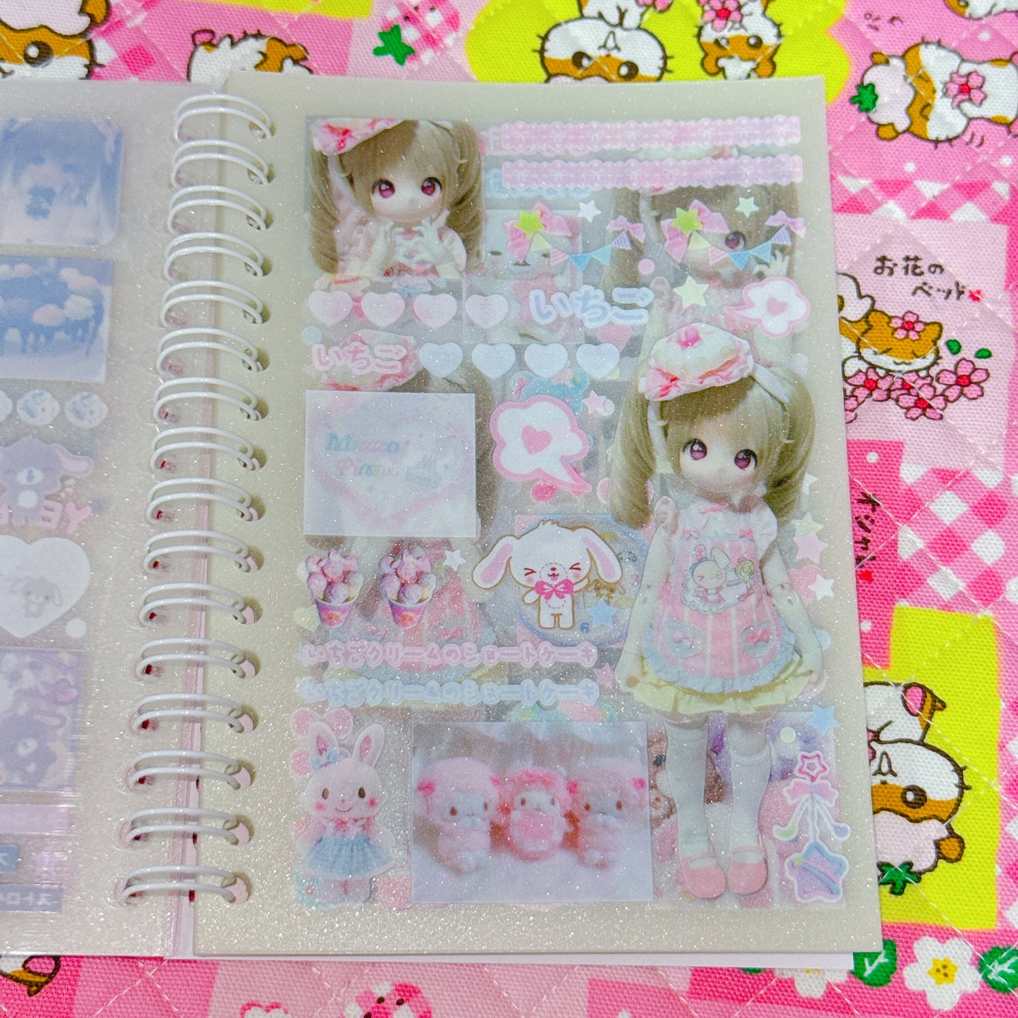 Sticker Book ♡ 30 pages (transparent sand)
