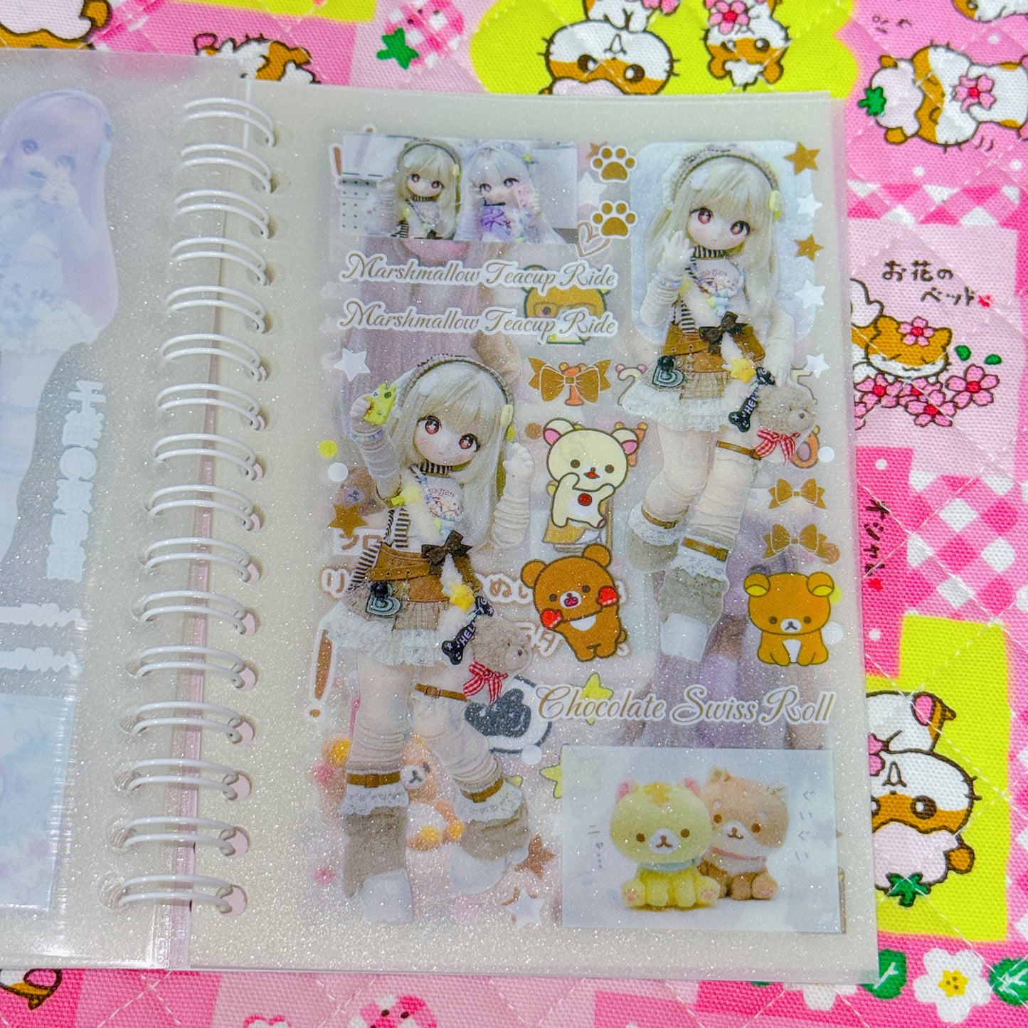 Sticker Book ♡ 30 pages (transparent sand)