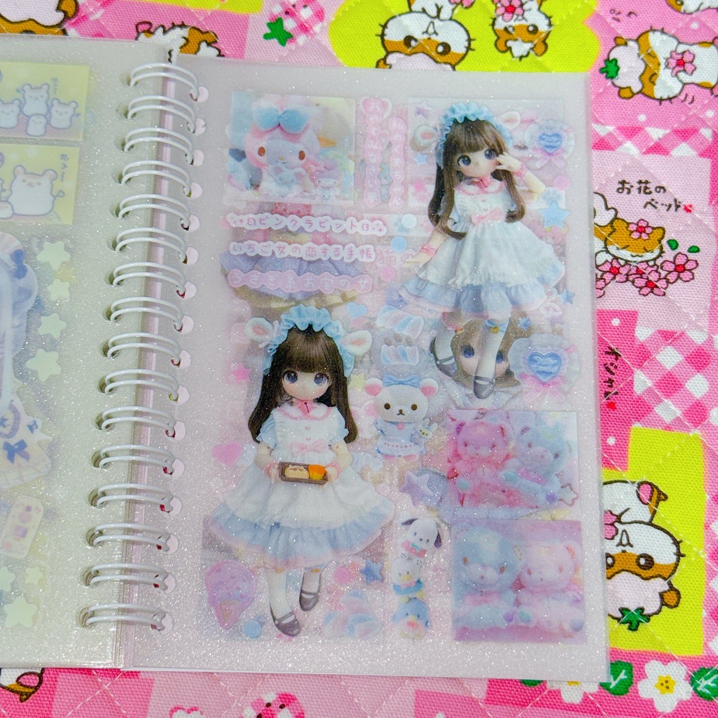Sticker Book ♡ 30 pages (transparent sand)