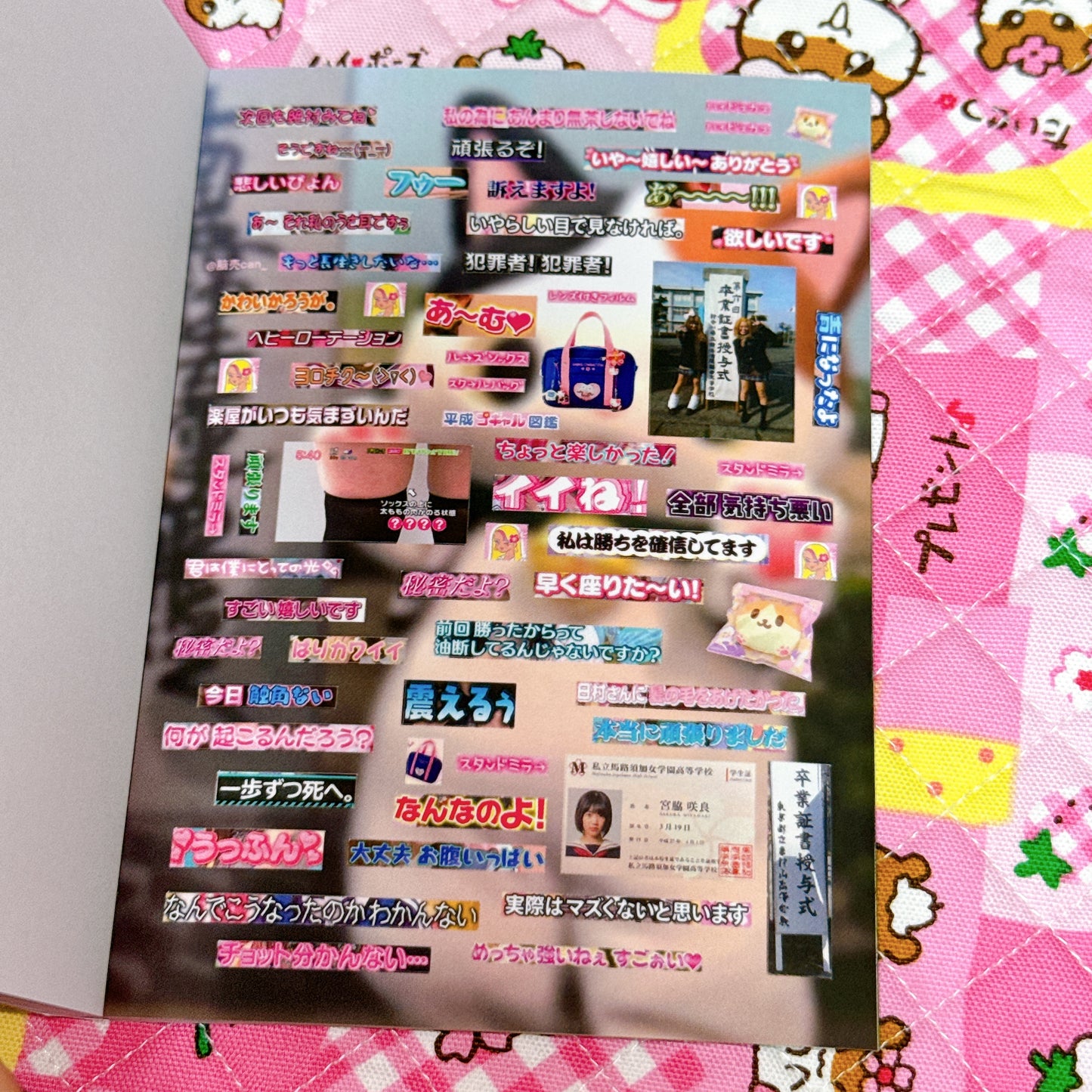Sticker Book ♡ 35 pages