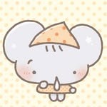 quokka kkoala