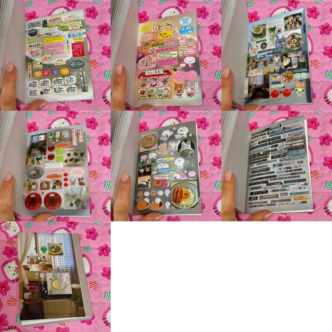 Sticker Book ♡ 50 pages