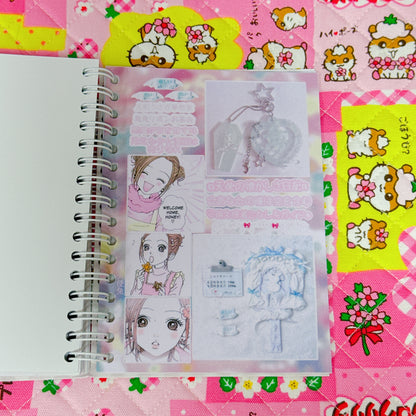 Sticker Book ♡ 30 pages