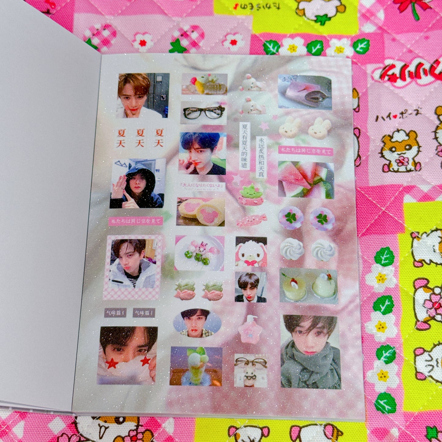 Sticker Book ♡ 37 pages