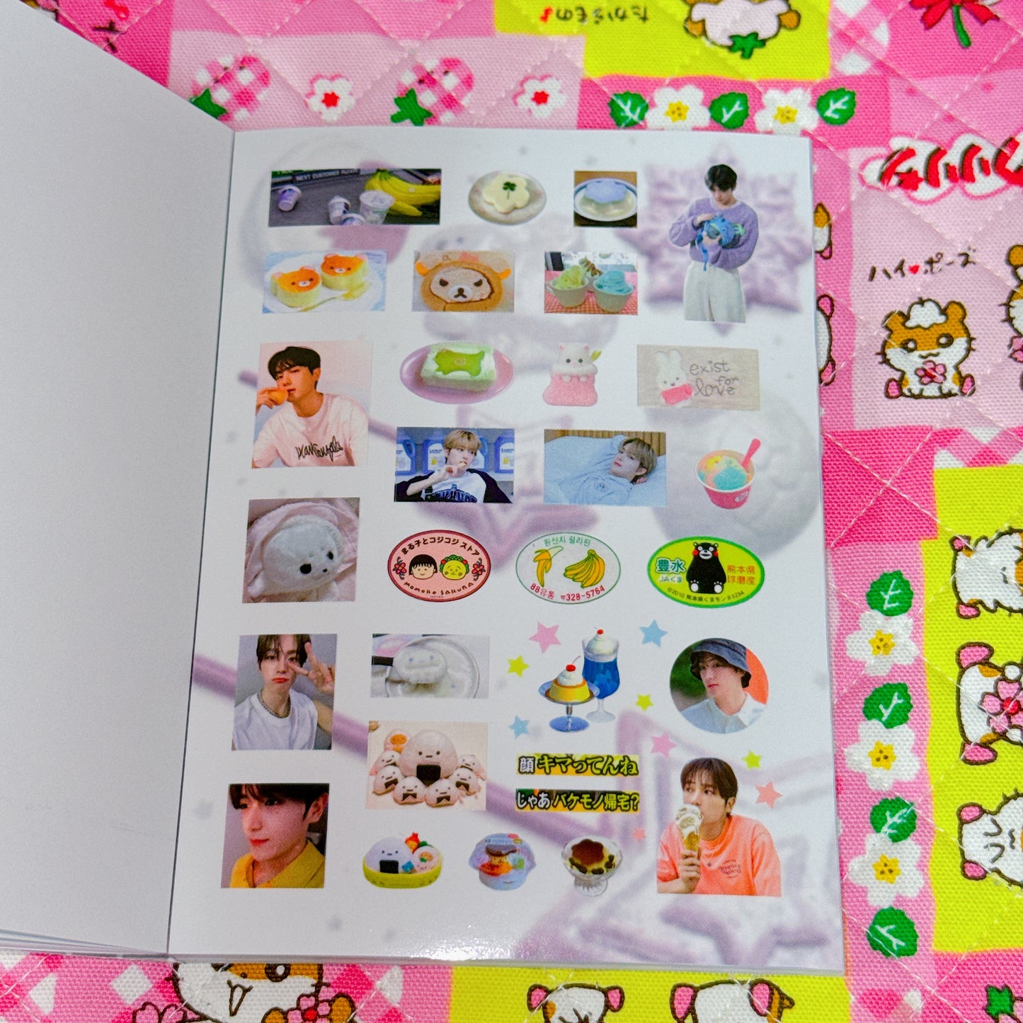 Sticker Book ♡ 37 pages