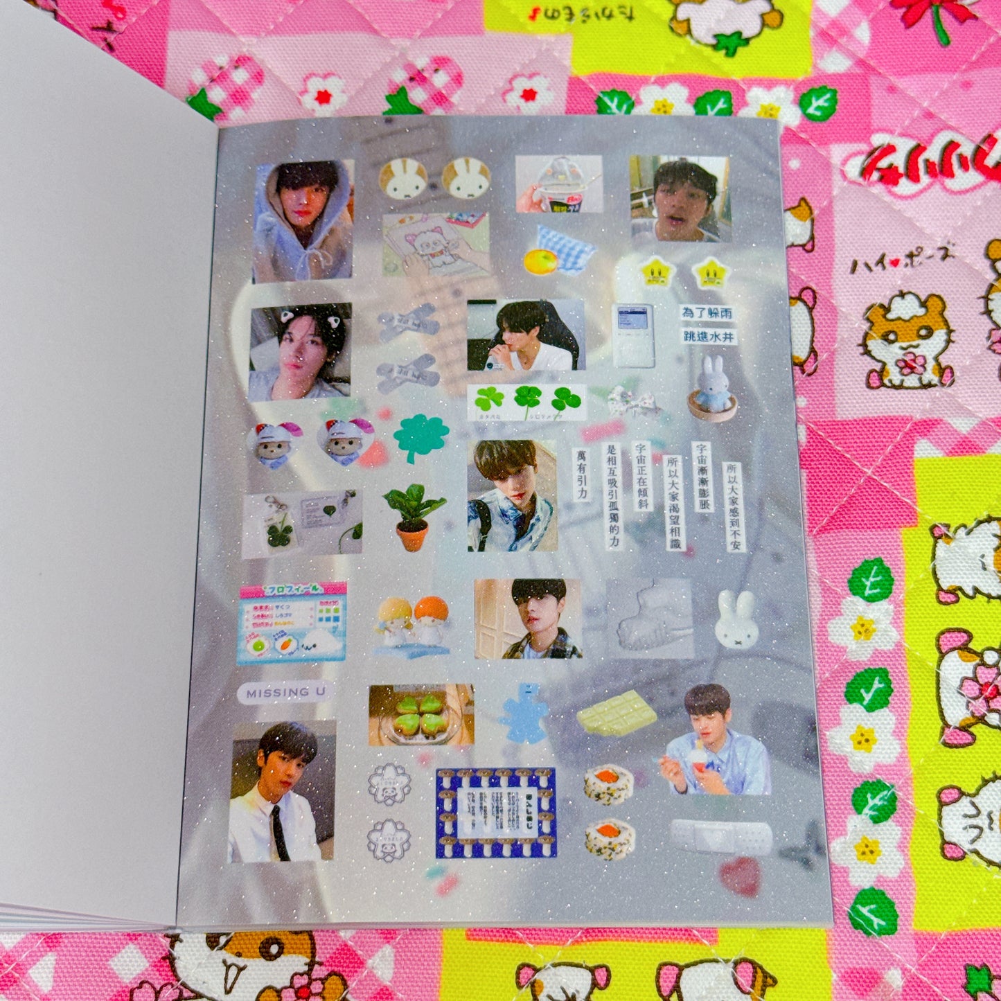 Sticker Book ♡ 37 pages