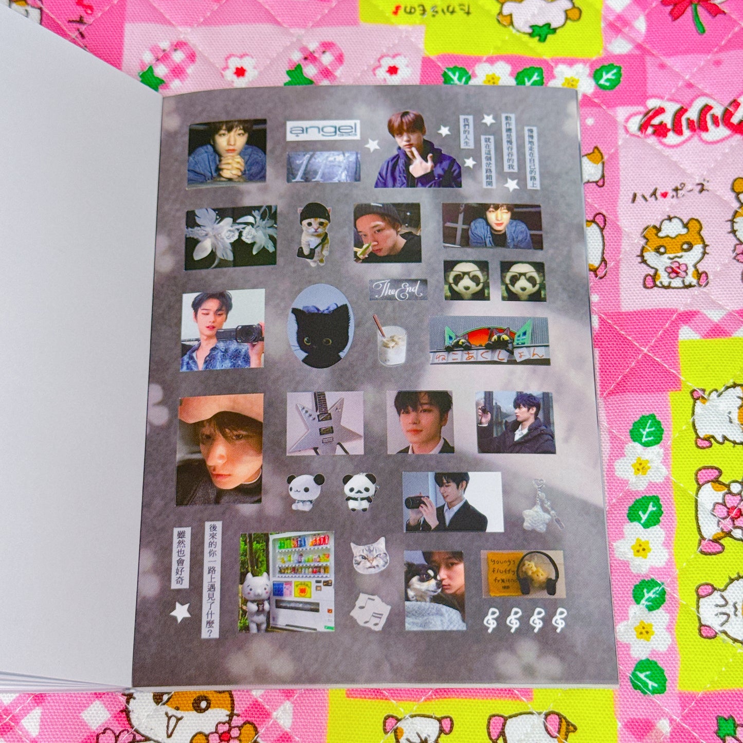 Sticker Book ♡ 37 pages